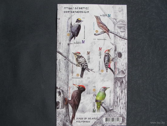 Марки РБ 1461-1465А. Блок Птицы Беларуси. Дятлообразные. Беззубцовый