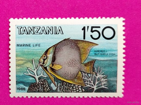 Танзания. Фауна. Рыба. ( 1 марка ) 1986 года. 6-1.