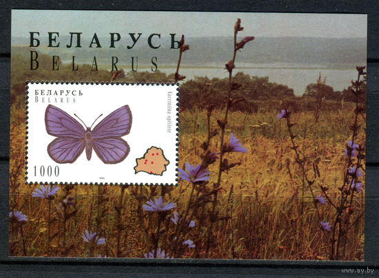 Беларусь - 1996г. - Бабочки - полная серия, MNH [Mi bl. 8] - 1 блок