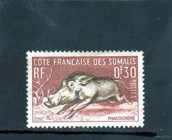 Французские колонии. Сомали.1958. Фауна.Кабан.