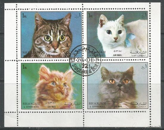 Шарджа. Кошки. 1972г. Mi#1288-91. Кв.блок.