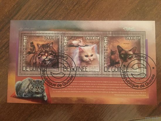 Гвинея 2014. Коты (блок)