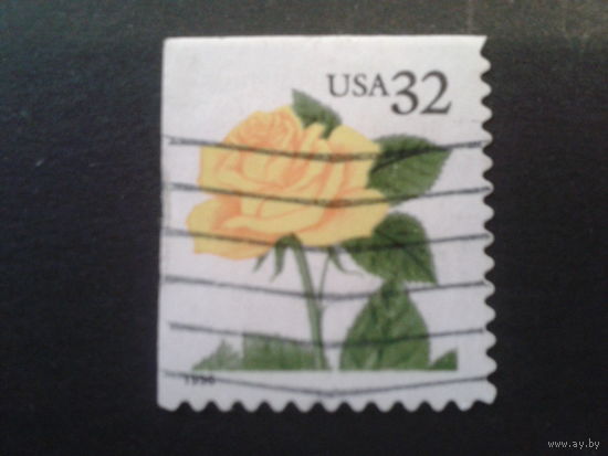 США 1996 стандарт, роза