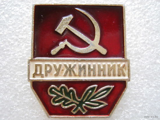 Дружинник.