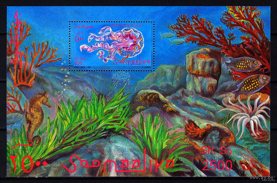1995 Сомали. Медузы   MNH