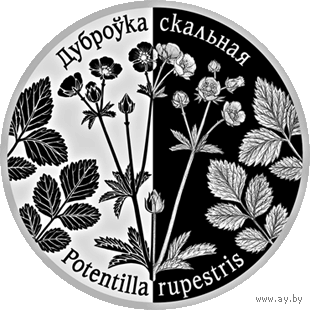 Лапчатка скальная. 1 рубль.