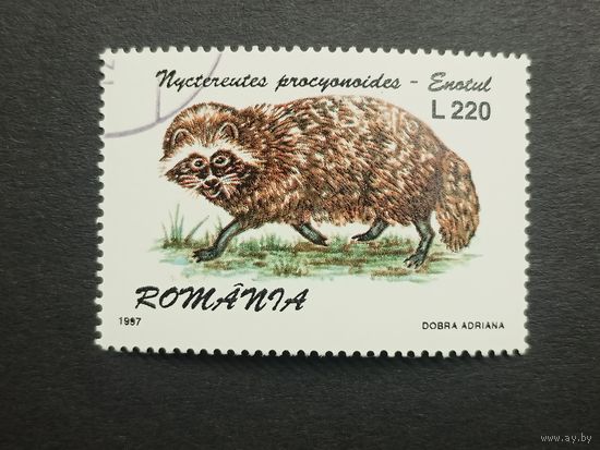 Румыния 1997. Пушные звери. Енотовидная собака