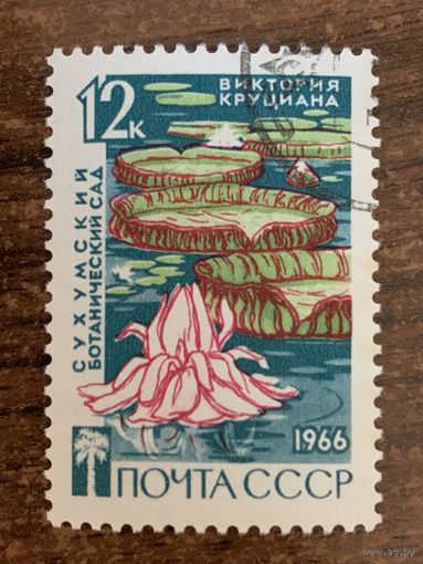 СССР 1966. Сухумский ботанический сад. Марка из серии