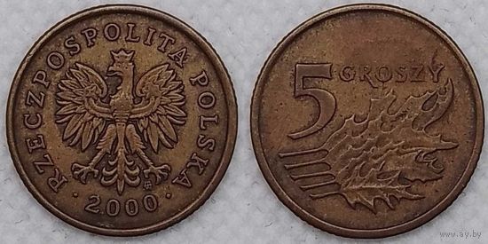 5 грошей 2000 Польша