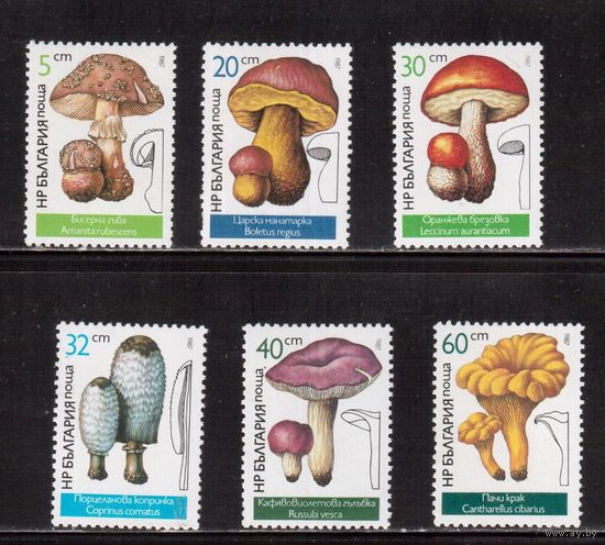 Болгария-1987 (Мих.3546-3551) ** , Флора, Грибы