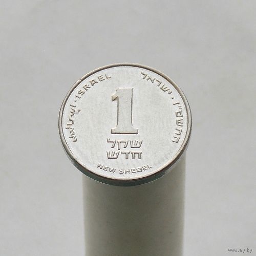 Израиль 1 новый шекель 2000