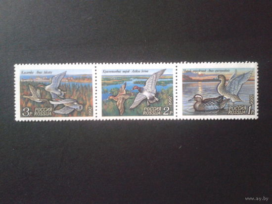 Россия 1992 Утки** сцепка
