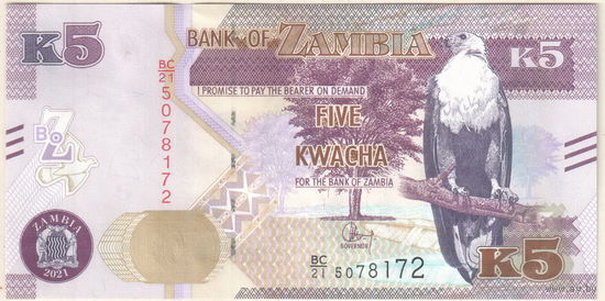 Замбия 5 квача 2021