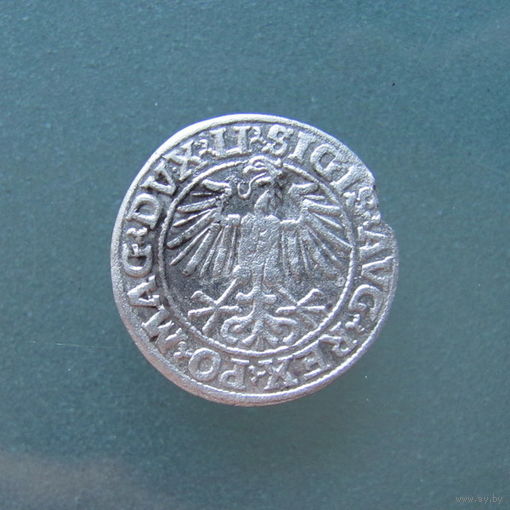 Полугрош 1549 год.