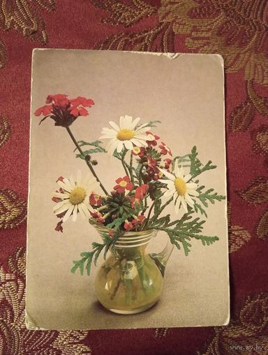 Открытка СССР, 1983,Планета