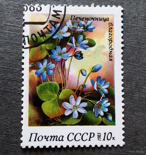 Марки СССР 1983 год Цветы