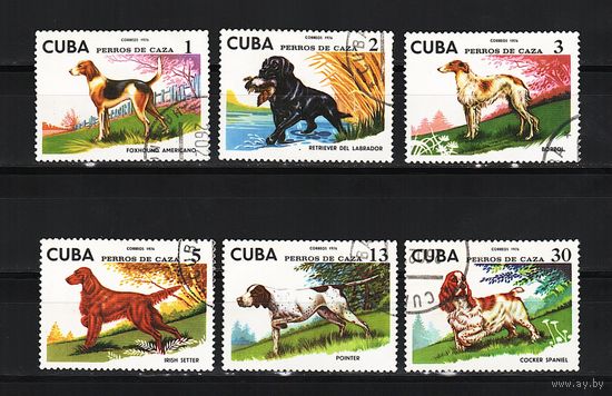 Куба 1976, фауна, охотничьи собаки,  Mi 1,56, К221