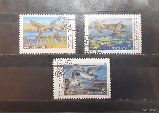 СССР. 1990 год. Фауна. Птицы. Утки (433)
