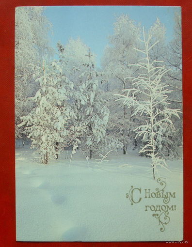 С новым годом! Чистая. 1990 года. Фото Буркина. 1654.