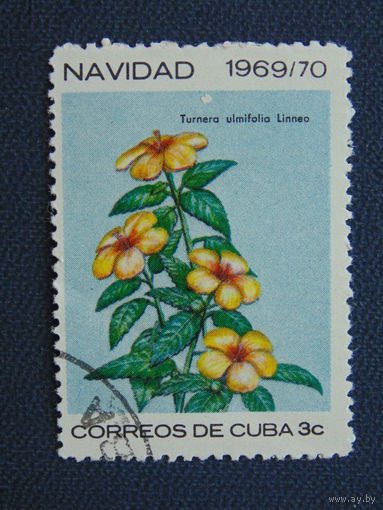Куба 1969 г. Цветы.