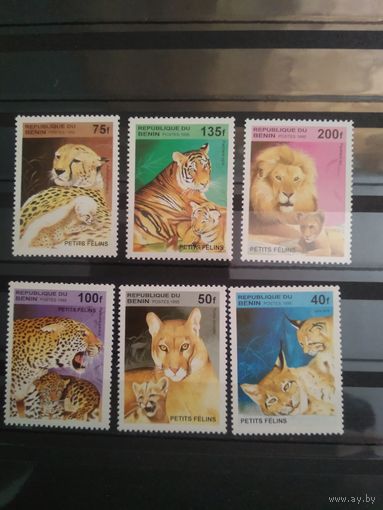 Бенин 1995 г. Дикие кошки.