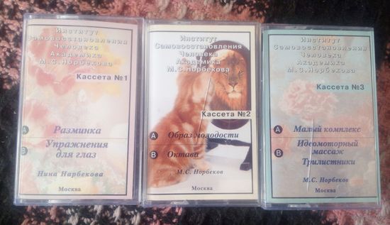 Институт самовосстановления человека академика М.С.Норбекова,3 аудиокассеты.