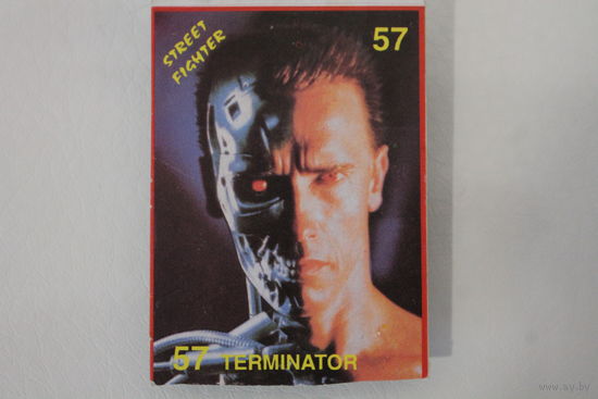 TERMINATOR STREET FIGHTER