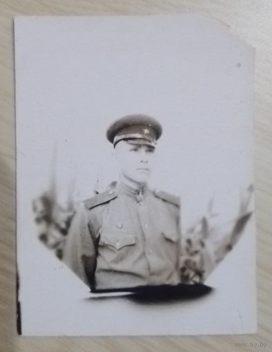 Фото в коллекцию