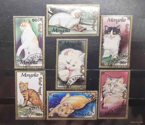 Монголия. 1991 год. Фауна. Кошки (1310)