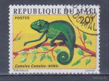 [994] Мали 1976. Фауна.Ящерица.Хамелеон. Гашеная марка.