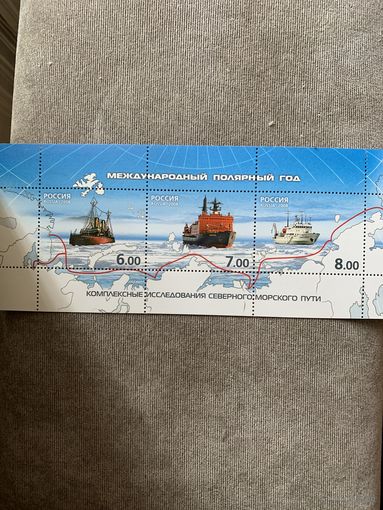 Россия 2008. Международный полярный год. Малый лист