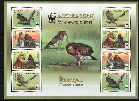 Азербайджан 2011. Птицы WWF Орлы. Лист   (414)