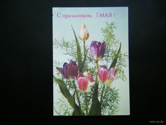 Открытка 1988г. из СССР.