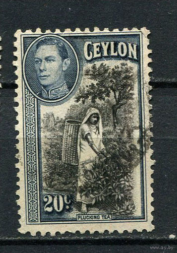 Британские колонии - Цейлон - 1938/1949 - Король Георг VI и местные виды 20С - [Mi.236] - 1 марка. Гашеная.  (Лот 25HD)-T4P5