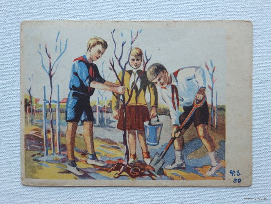 Скалме пионеры 1950    10х15 см