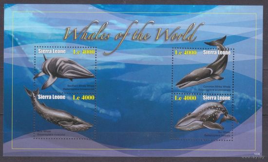 2011 Сьерра-Леоне 5427-5430KL Морская фауна - Киты 10,00 евро