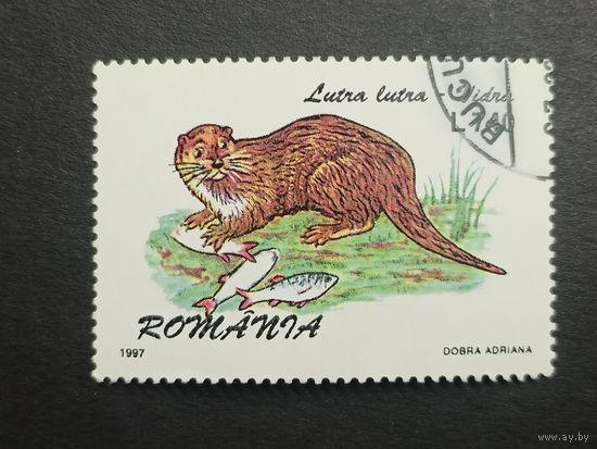 Румыния 1997. Пушные звери. Выдра