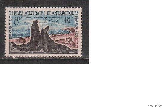 Французские Антарктические Территории-1962(Мих.25) , * , Морская Фауна(одиночка)