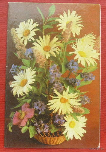 Композиция из цветов. Чистая. Двойная. 1984 года. Костенко. 112.