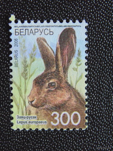 Беларусь 2008 г. Стандарт.