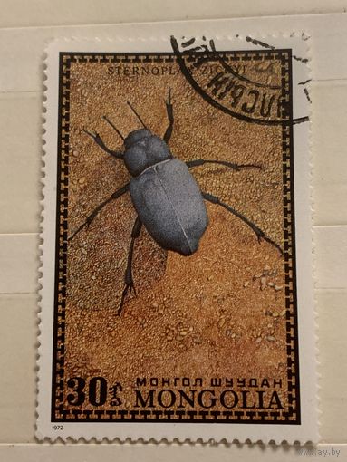 Монголия 1972. Насекомые