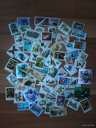 ФЛОРА, ФАУНА (62 шт)