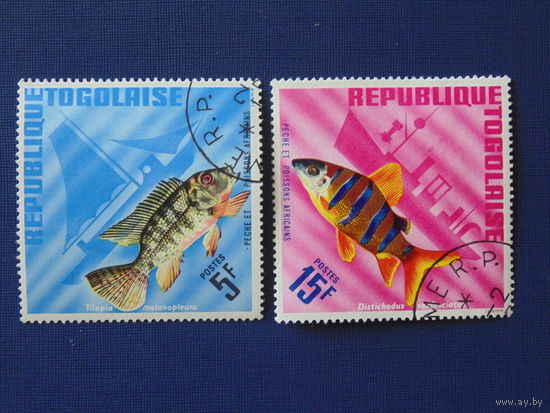 Того. Морская фауна.