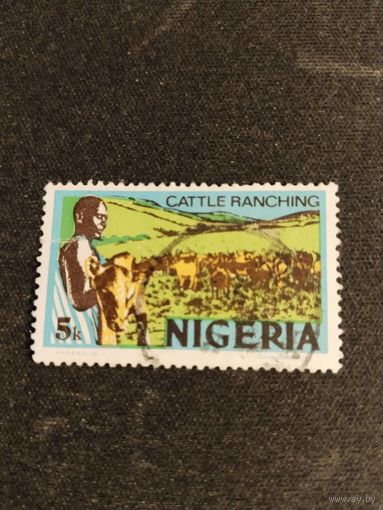 Нигерия 1973  пастух