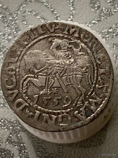 Полугрош 1559.         .Б-9