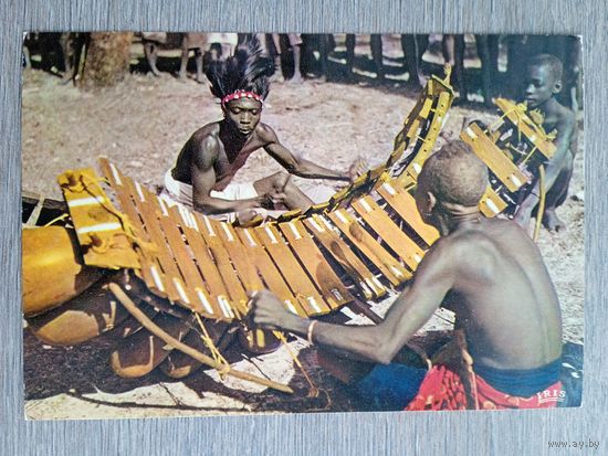 Этнография. Африка. Играющий на балафоне