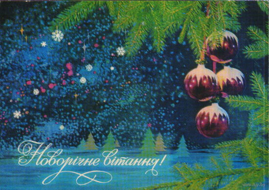 Чистая открытка 1973г. УССР "С Новым годом! Еловая ветка" фото В. Лисецкий и К. Шамшин
