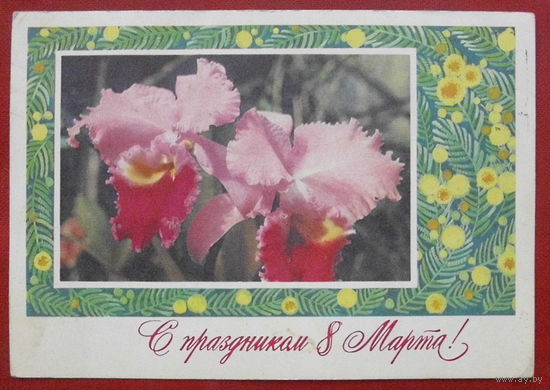 8 марта! Подписанная. 1976 года. Фото Смолякова. 882.