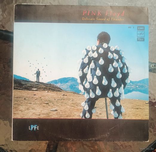 Пластинка Pink Floyd – Delicate Sound Of Thunder -1 пластинка