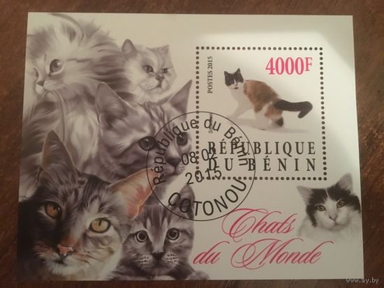 Бенин 2015. Домашние животные. Коты. Блок.